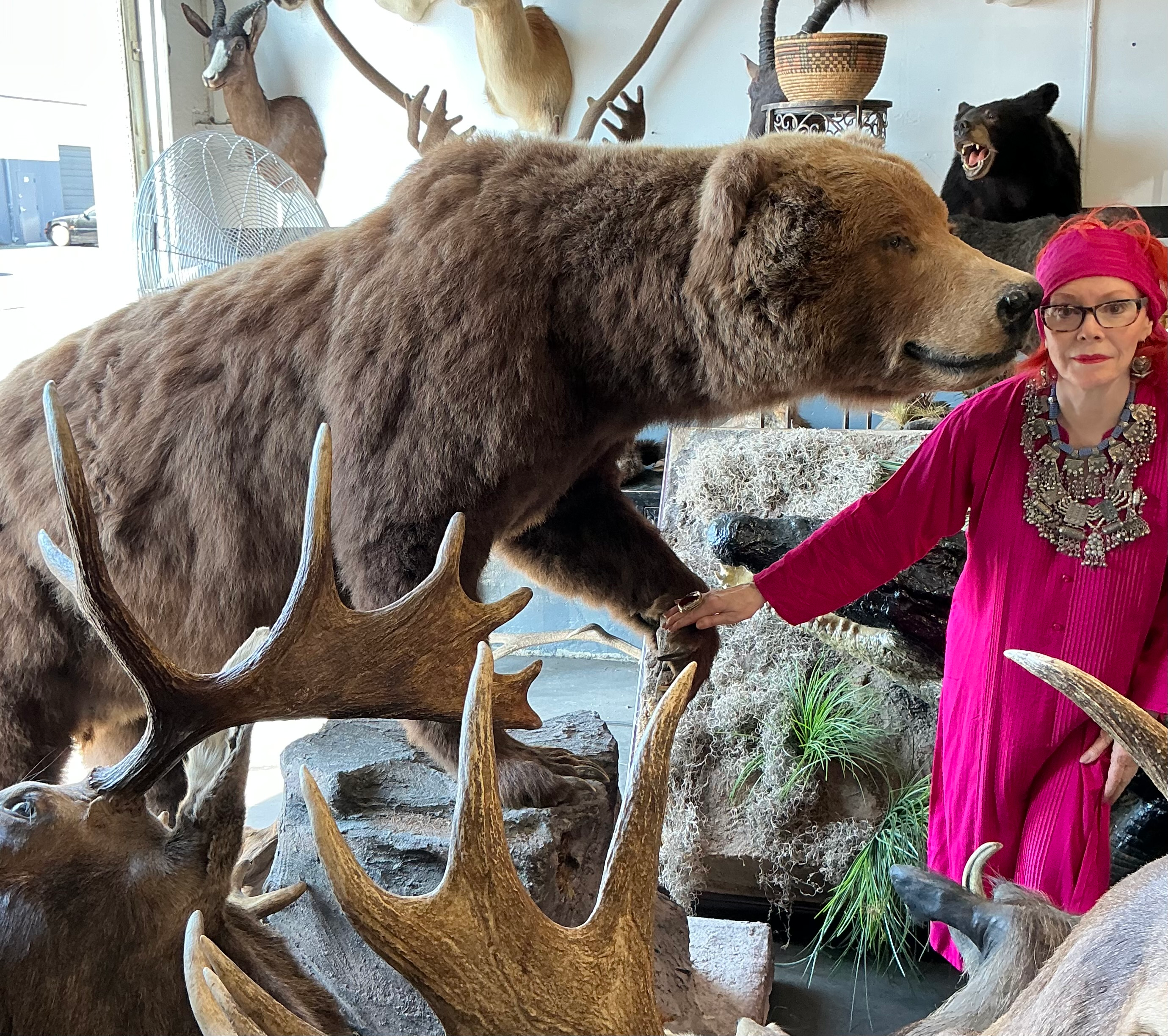 Premium Taxidermy Showroom